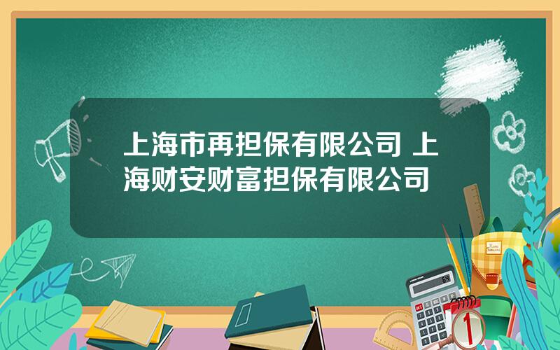 上海市再担保有限公司 上海财安财富担保有限公司